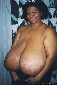 Undertaker reccomend norma stitz massive