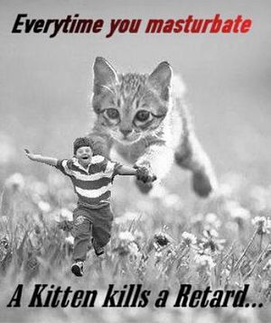 best of You Every kill you a kitten time masturbate