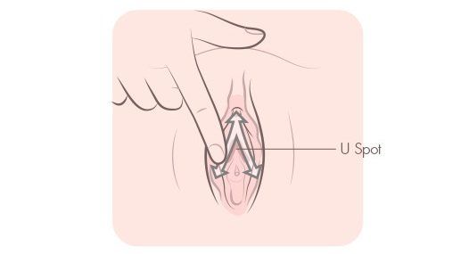How do i masturbate my clitoris Masturbation