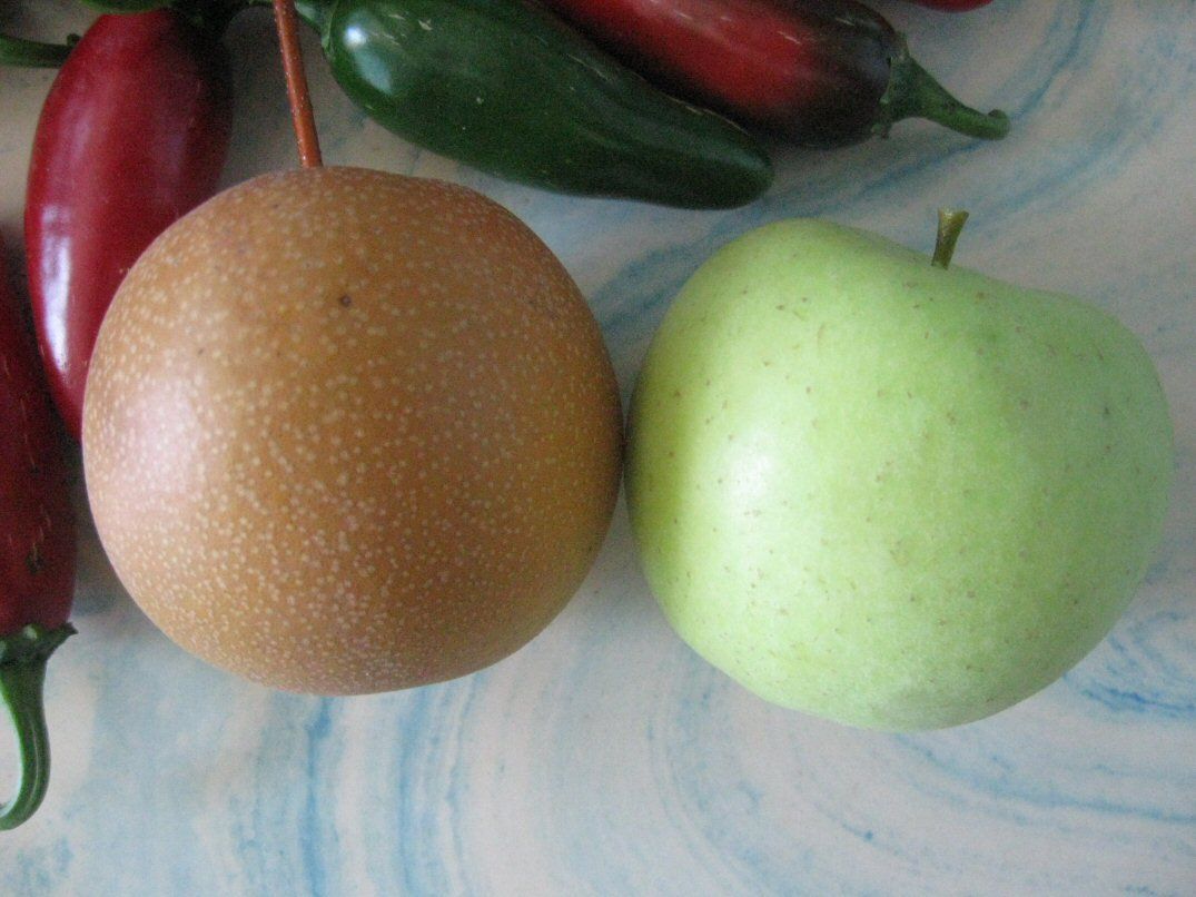 Asian pear growers in virginia