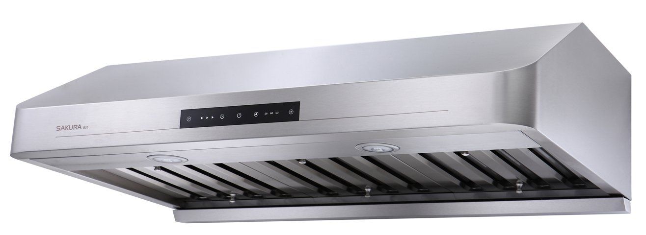 Asian range hood fan