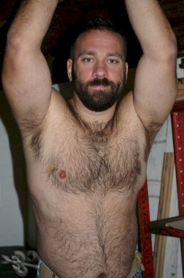 Hairy bear chest nude