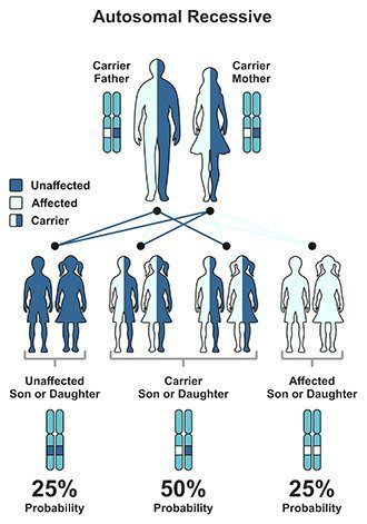 best of Onset mellitus Mature diabetes