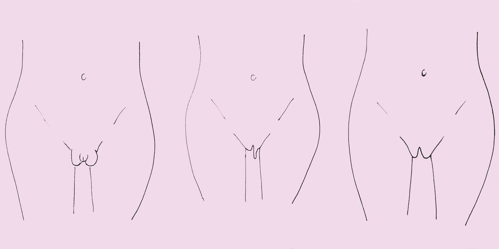 best of Vulva Vagina labia