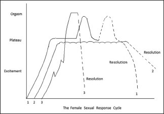 Countess recommendet How to increase male hormones naturally