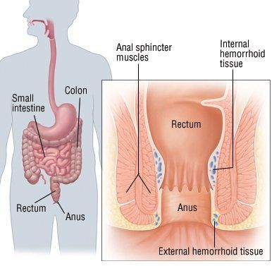 best of Anus the Pus near