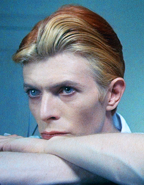 Maple reccomend Fucking sexy david bowie