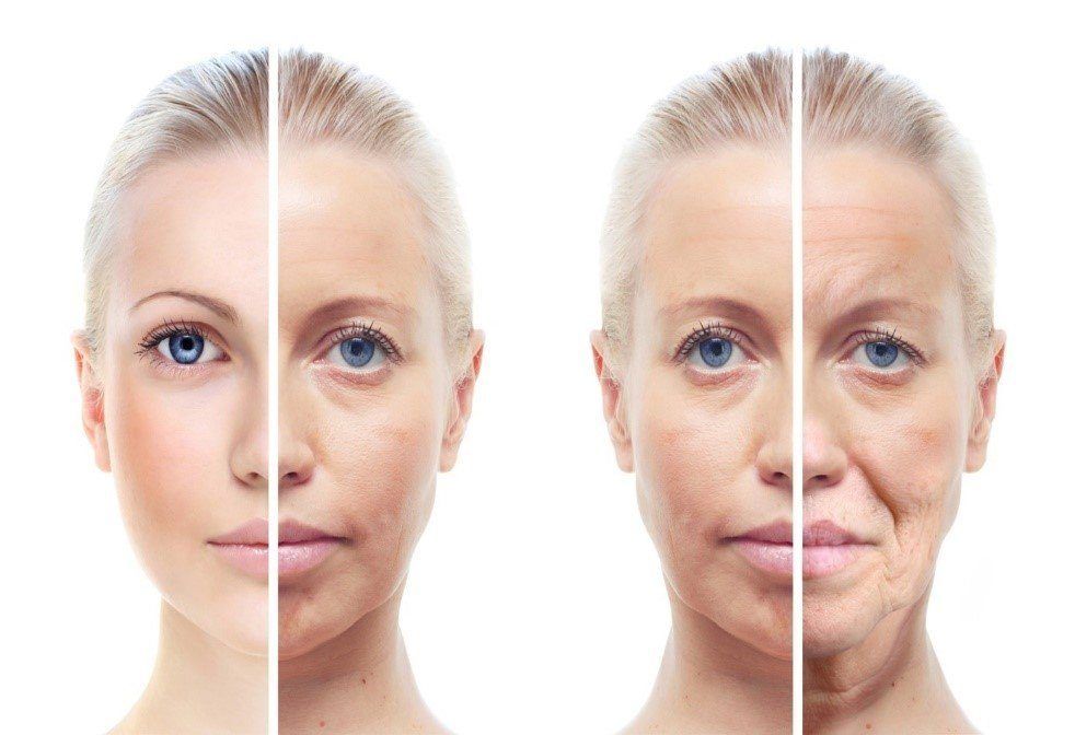 best of Oregon Facial plastic portland surgeons in