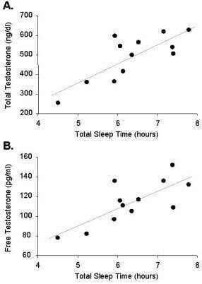 Barbera reccomend Masturbation effect on testosterone