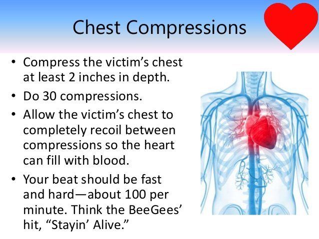 Dogwatch reccomend How to perform adult cpr