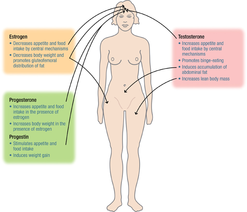 Sex effects on the body