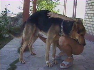 Free girl fucks german shepard movie