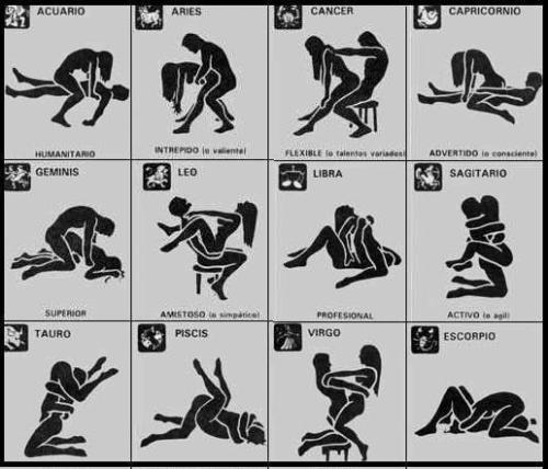 Motorcycle sex positions