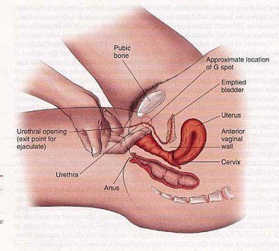 Sex g spot positions