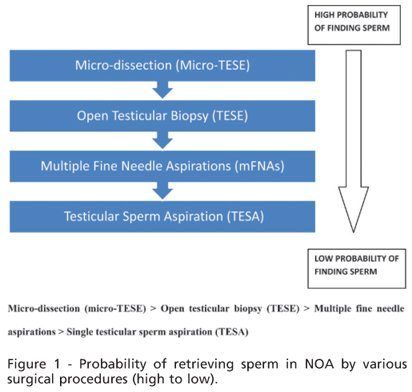 Tesa tese sperm chromosomal abnormalities