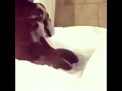 best of Twerking bathtub