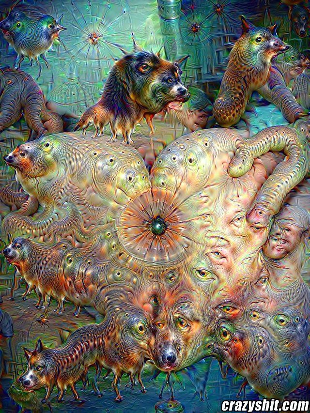 Lsd trip