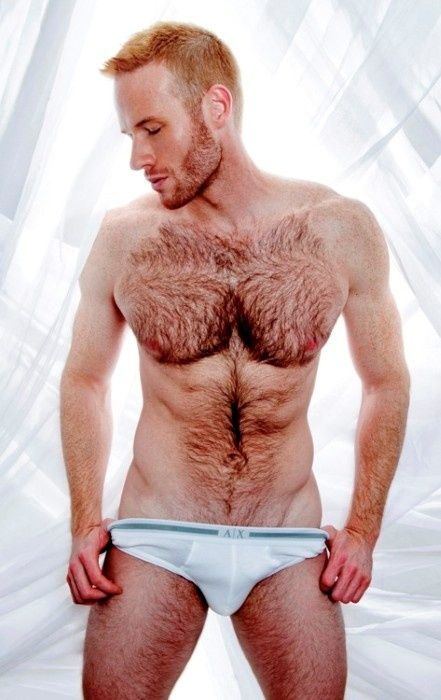 Mr. M. recommendet men hairy porn picture